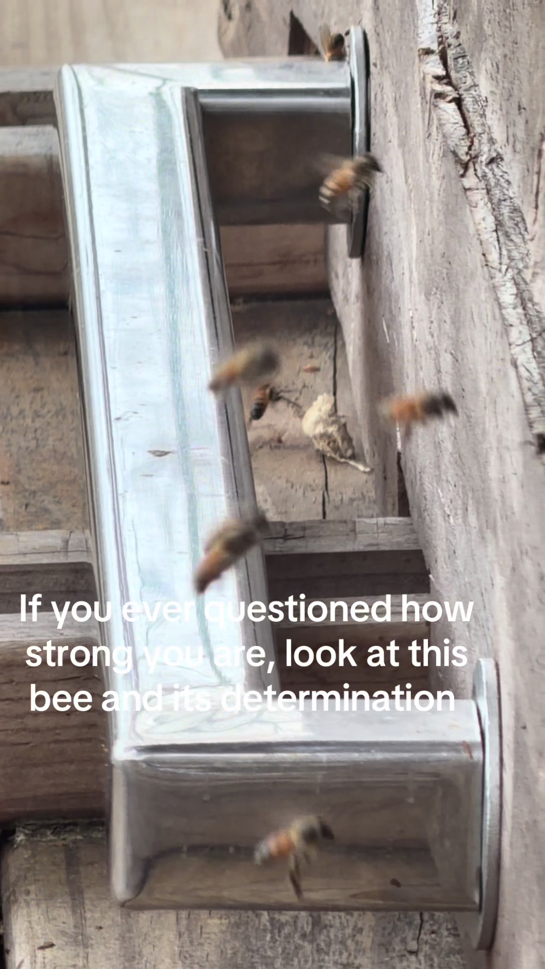 @Samantha Foxx