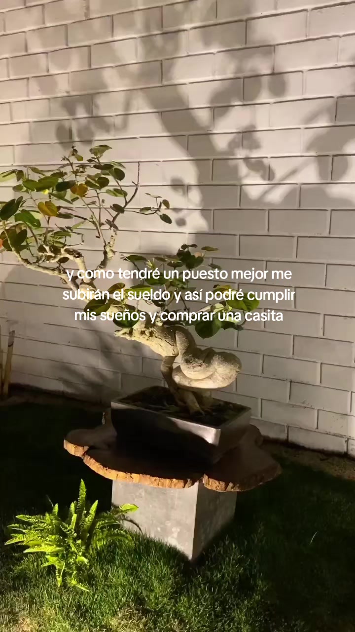 @Suueli🎀