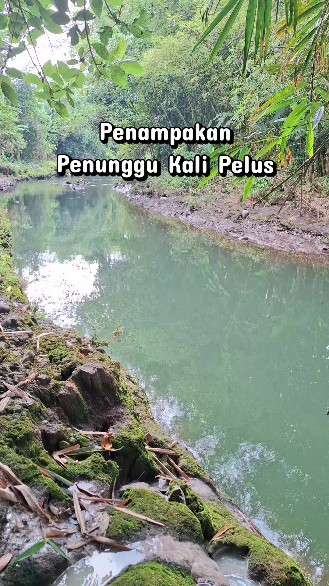 @Gasle Fishing