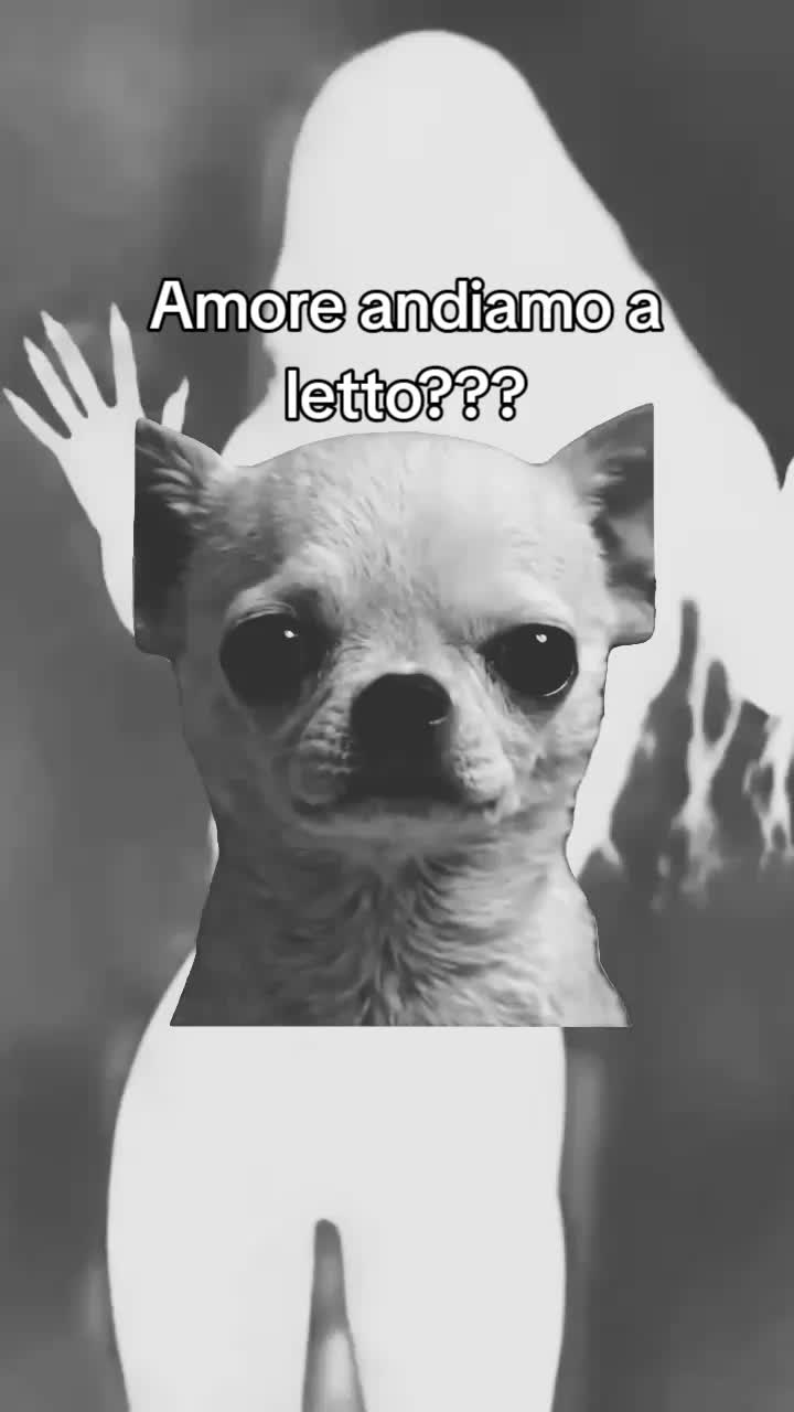 @Lastregarimanesemprelastrega