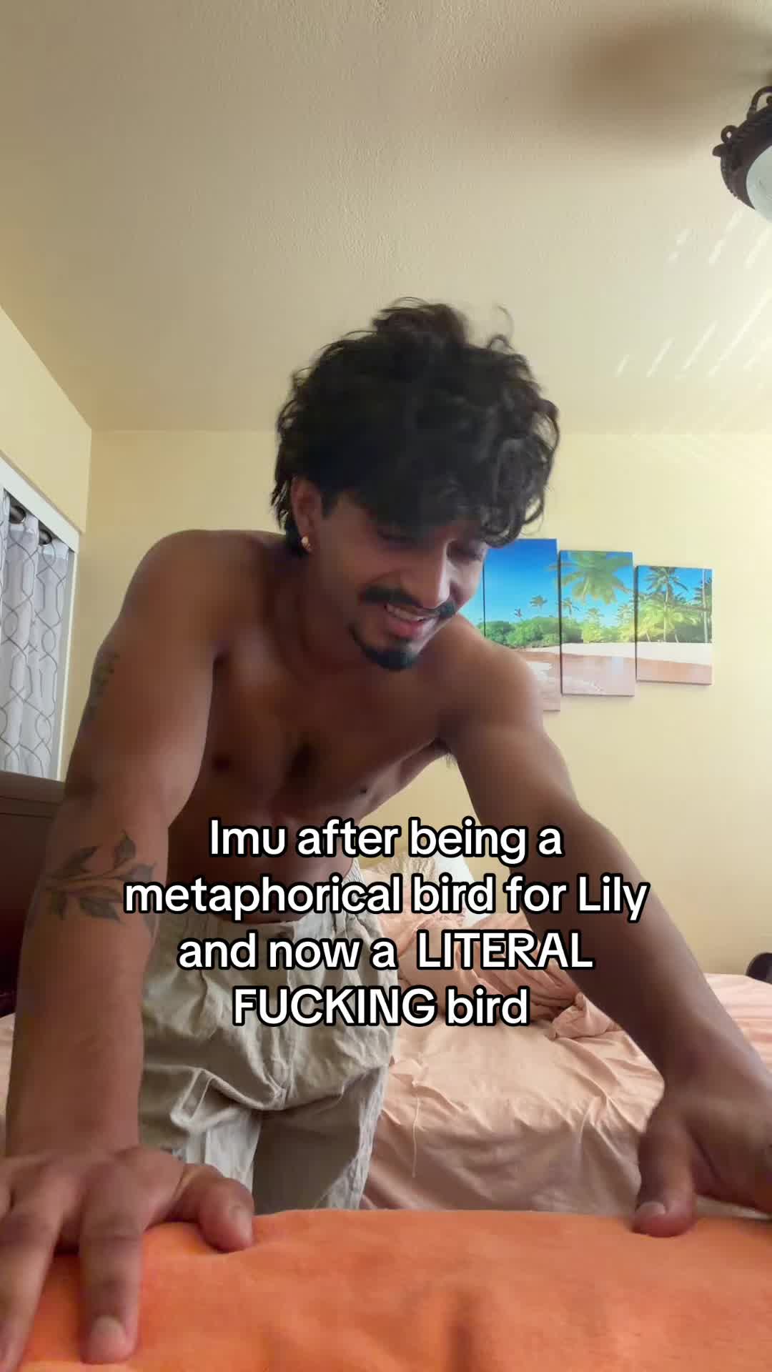 @desianimeguy