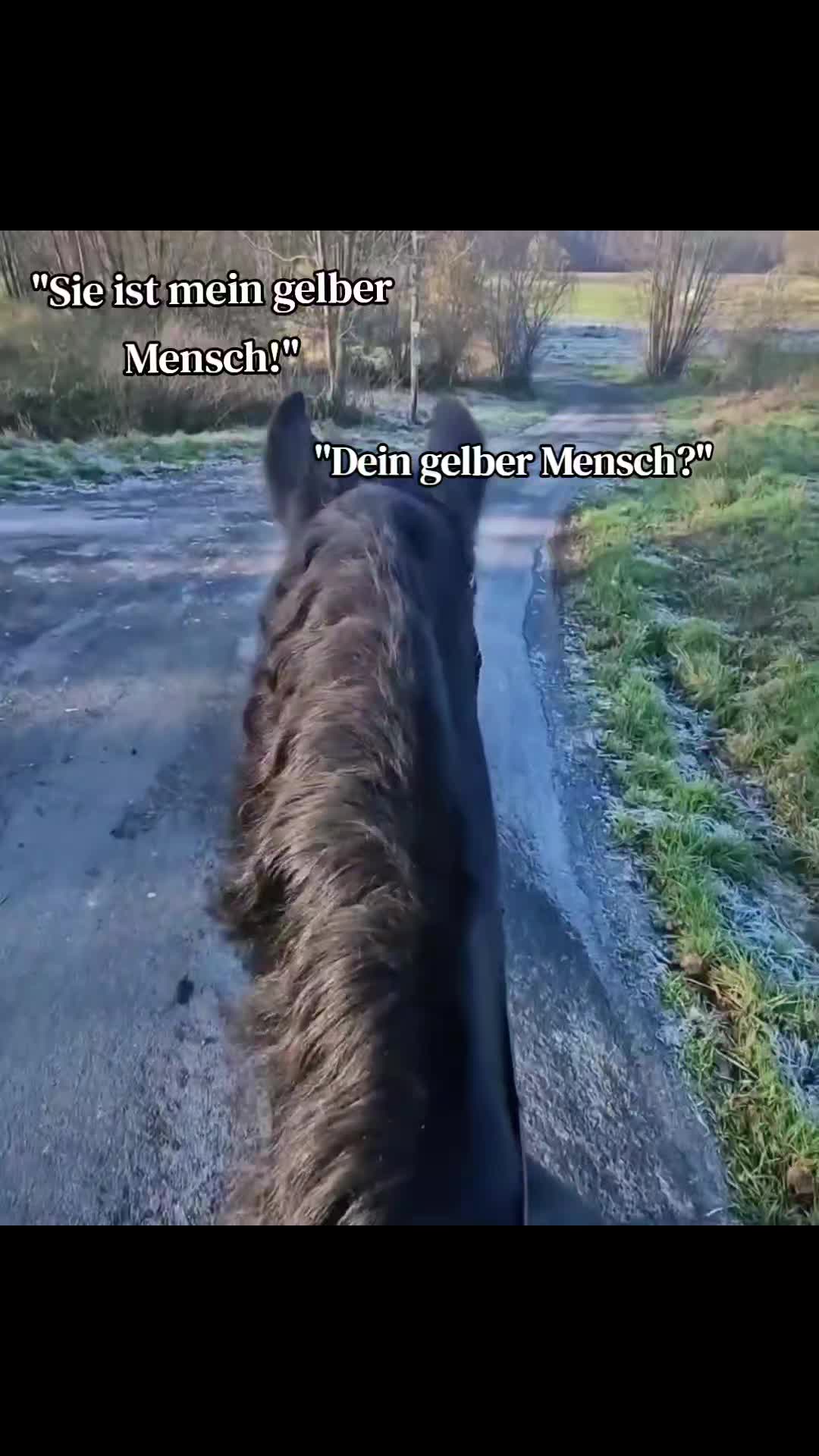 @Soñador