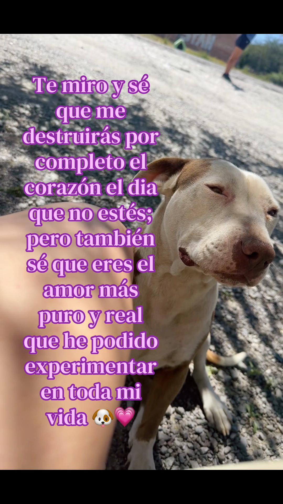 @Melii 🎀🩷