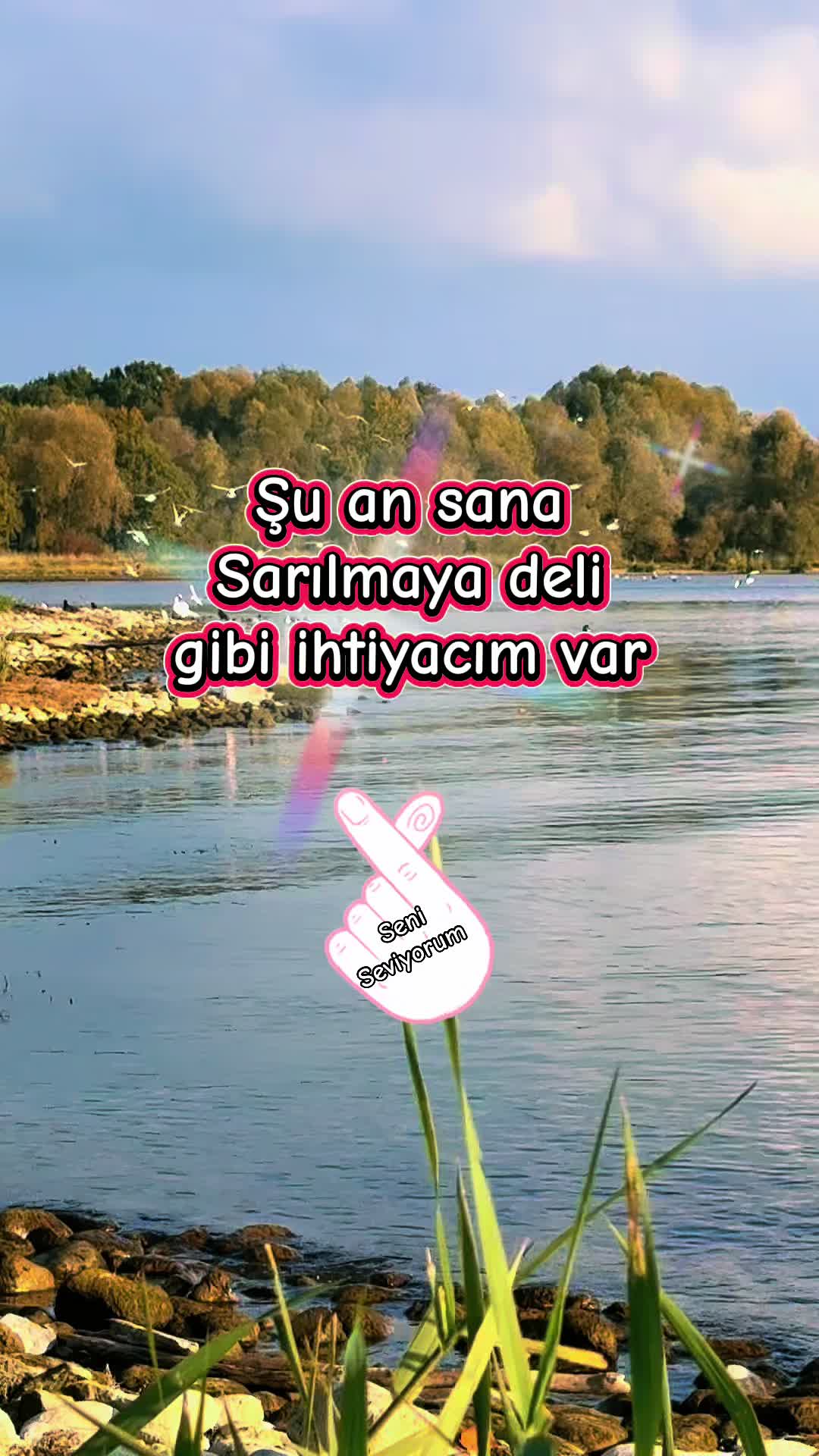 @501🌞