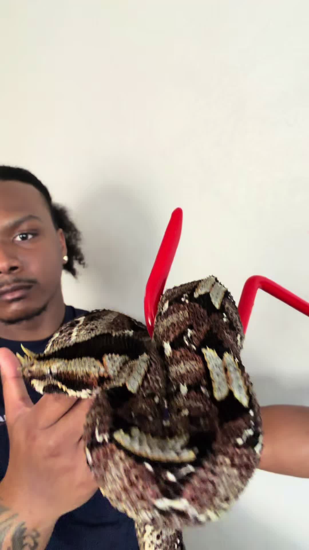 @SavageryReptiles