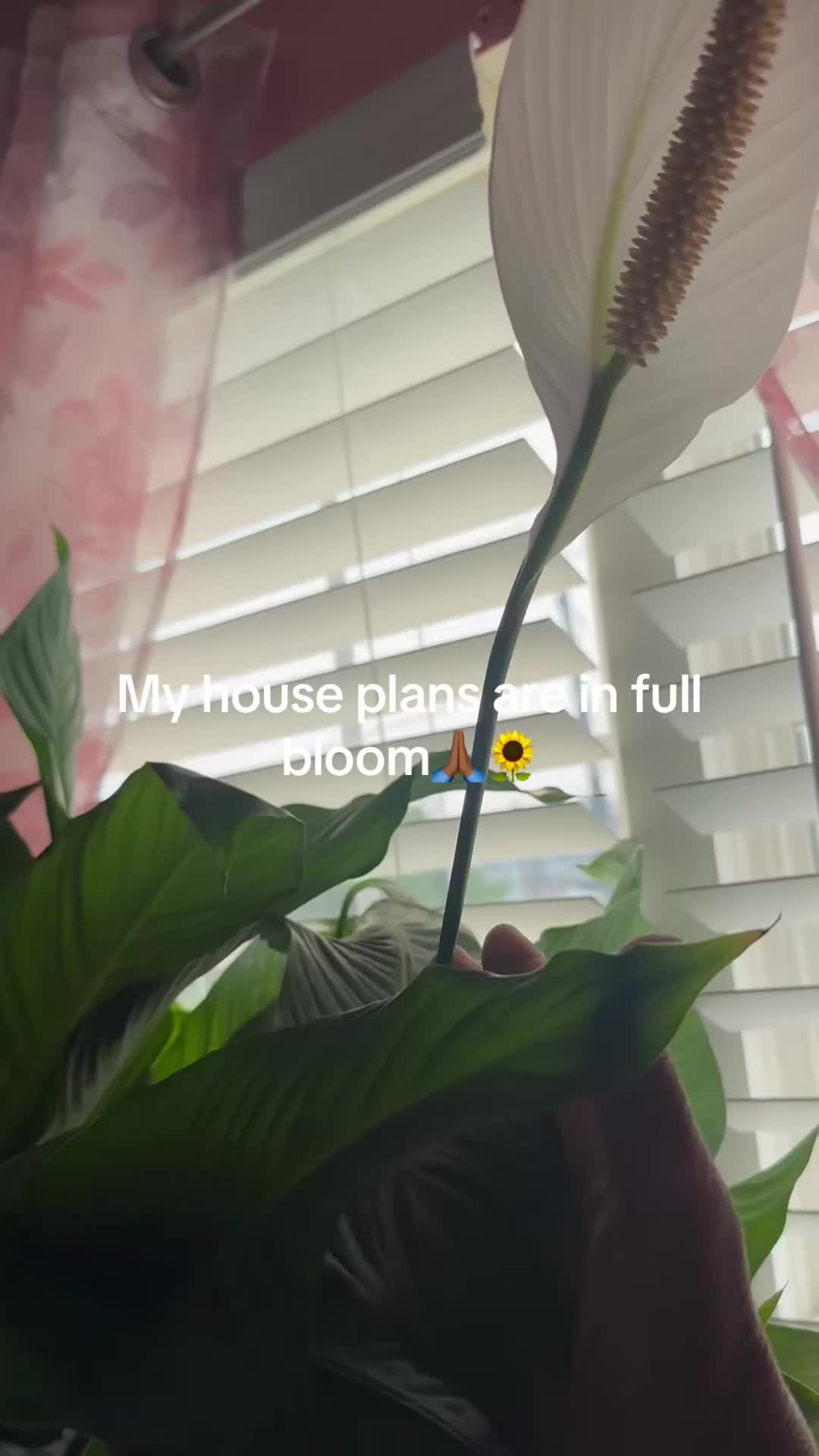 @prettypaulette66