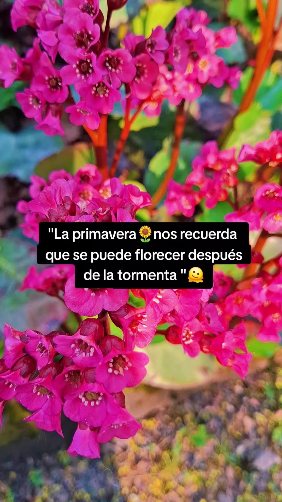 @Jessica Davila