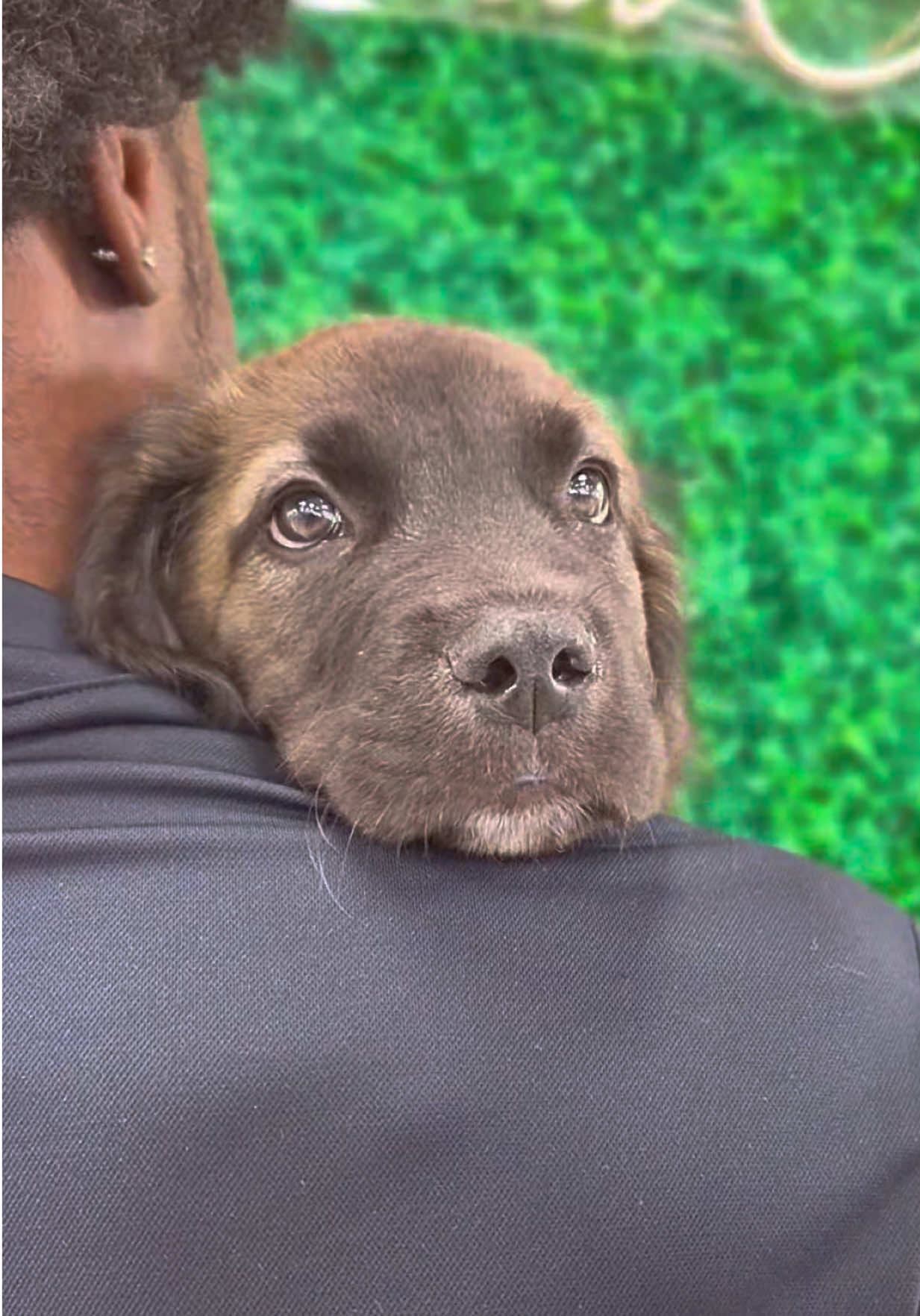 @Petland Oklahoma City