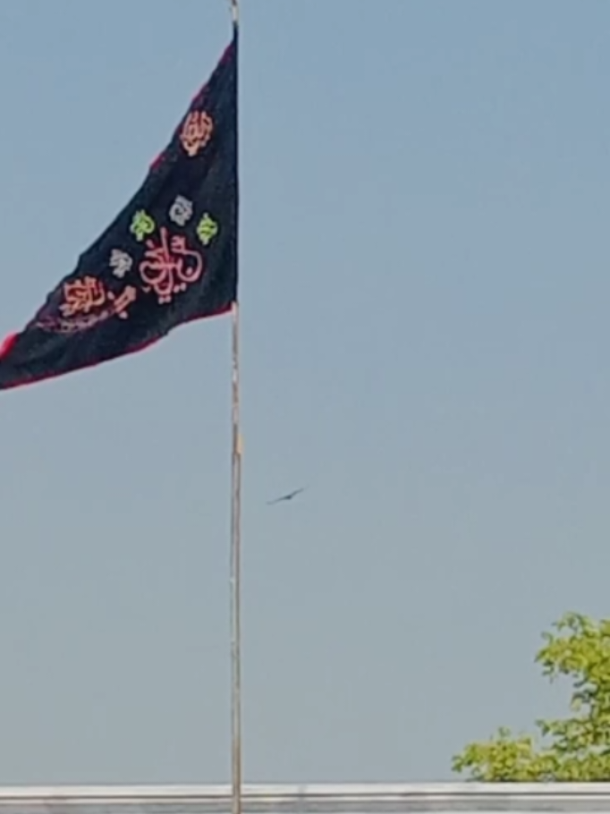 @🥰🚩bhAkkar view786🚩😍