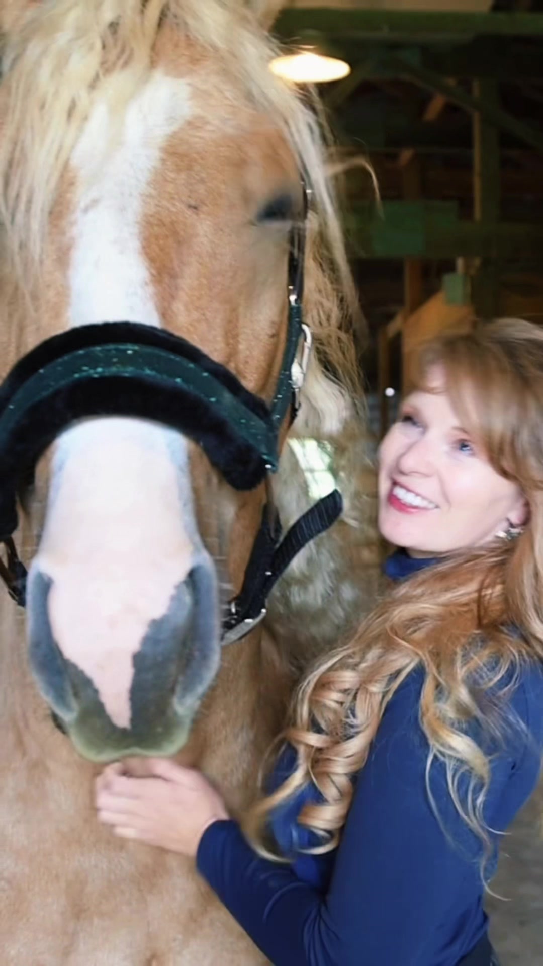 @Free Spirit Equestrian