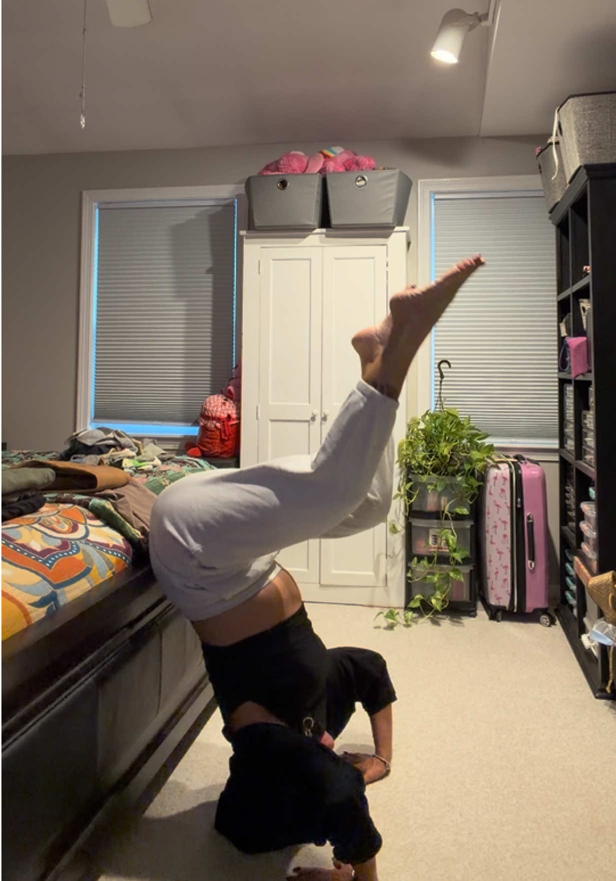 @gardengirl8440