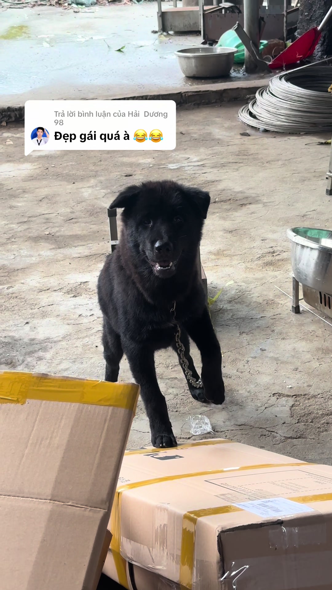 @Khi Nào Trắng Thì Đổi Tên(Đen)
