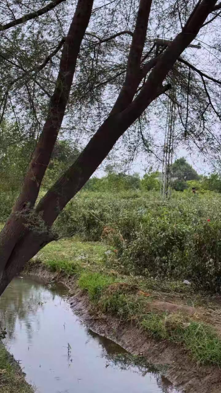 @Haniahabib11🦋