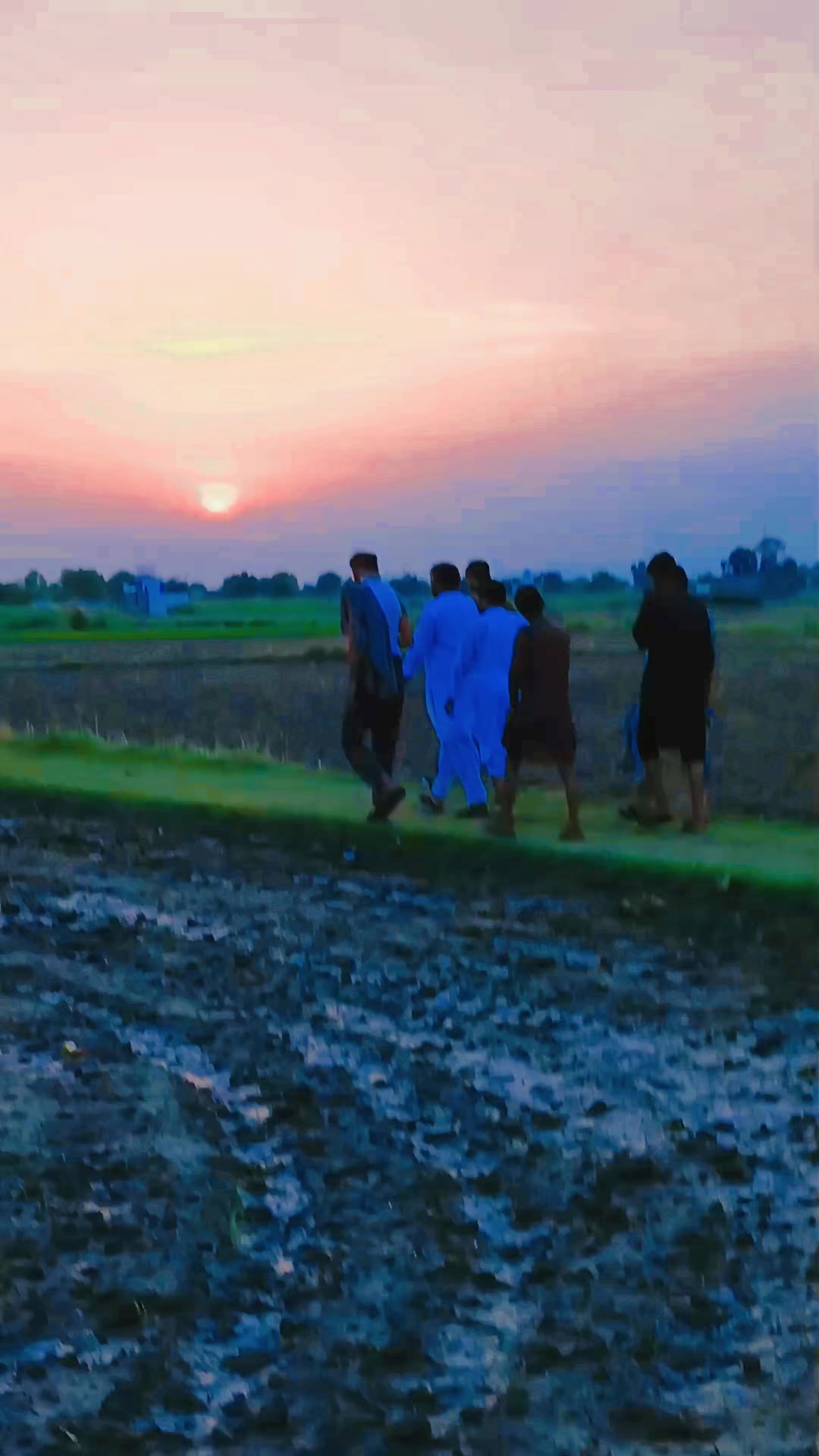 @قاسم علی بیکنانوالہ❤️❤️