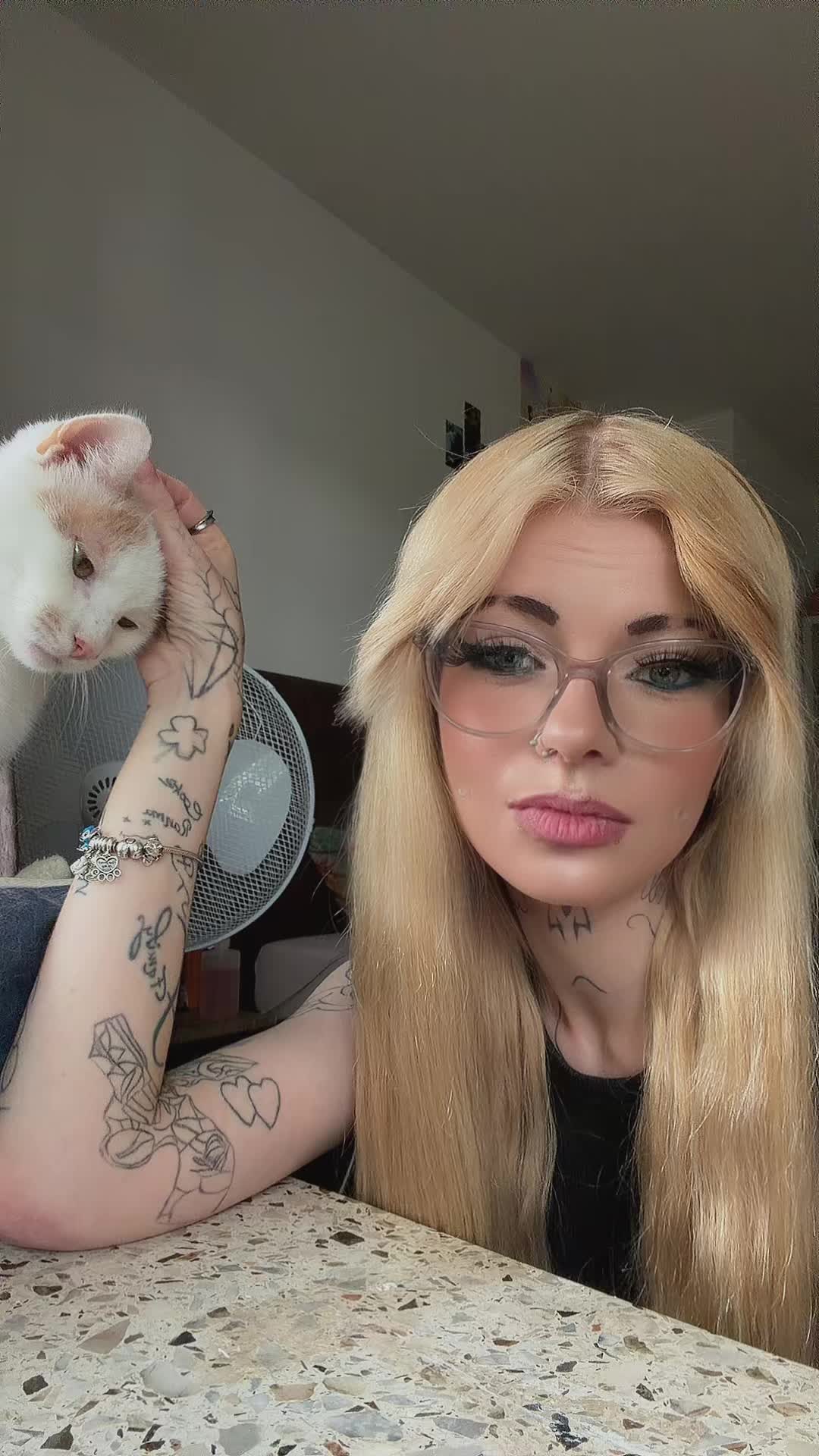 @🦋Kittycat🦋