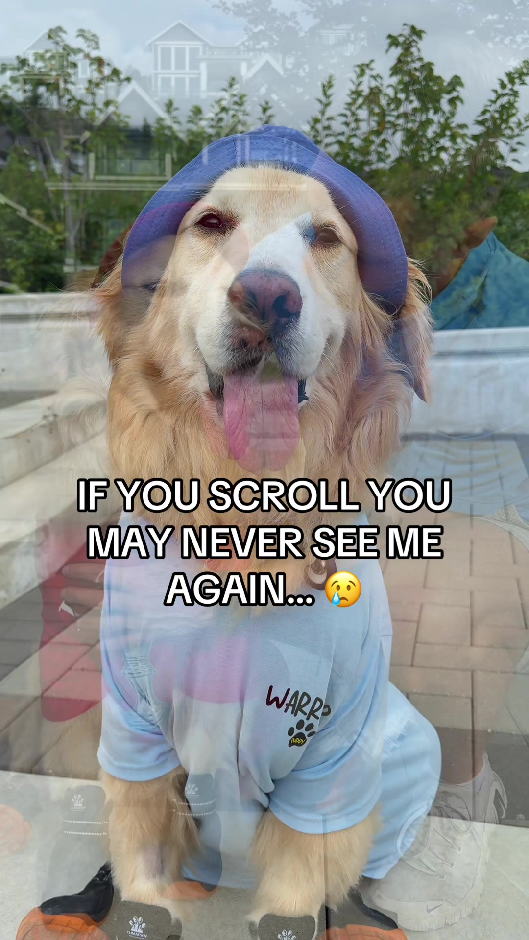 @A Golden and Fam