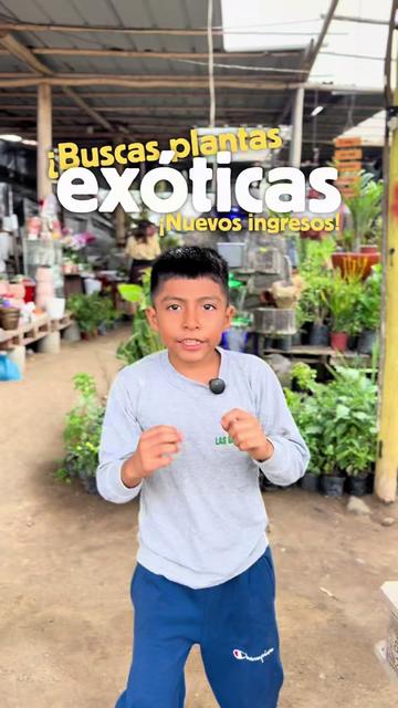 @VIVERO LAS G🦁RDENIAS|TRUJILLO