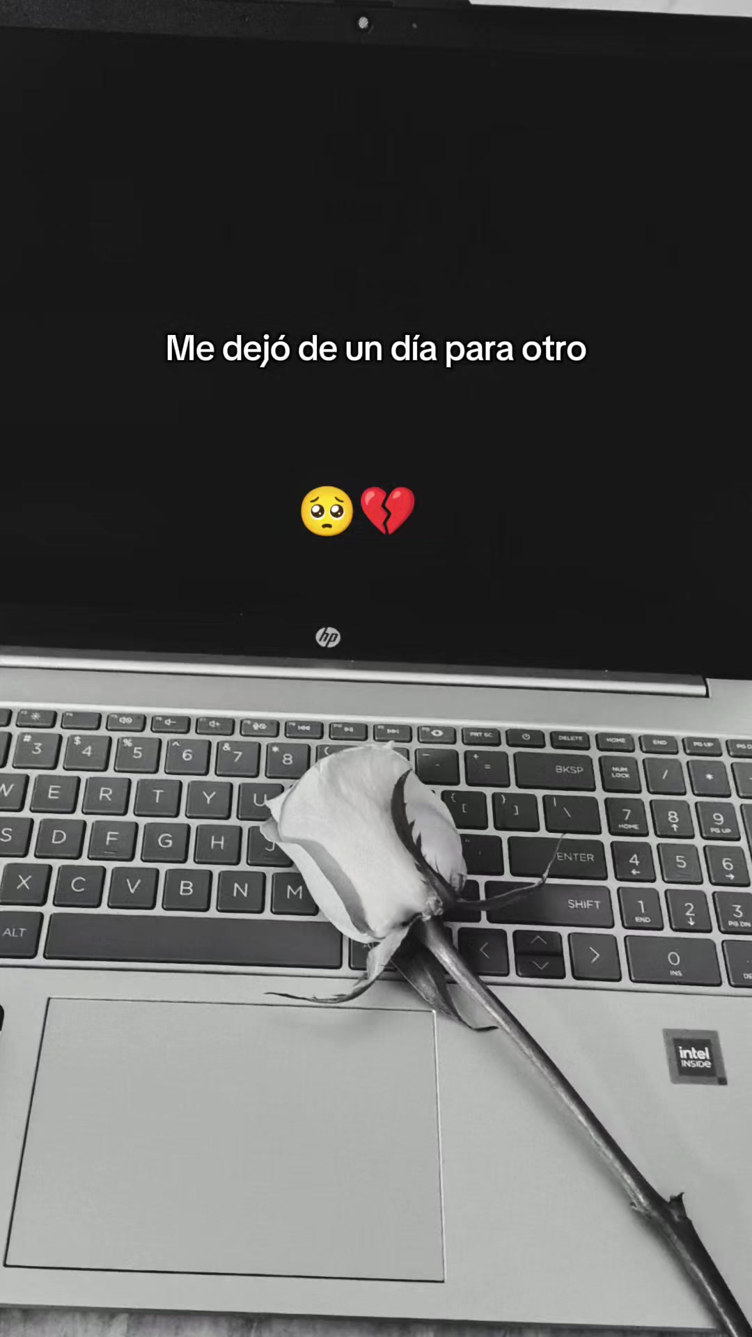 @vecky