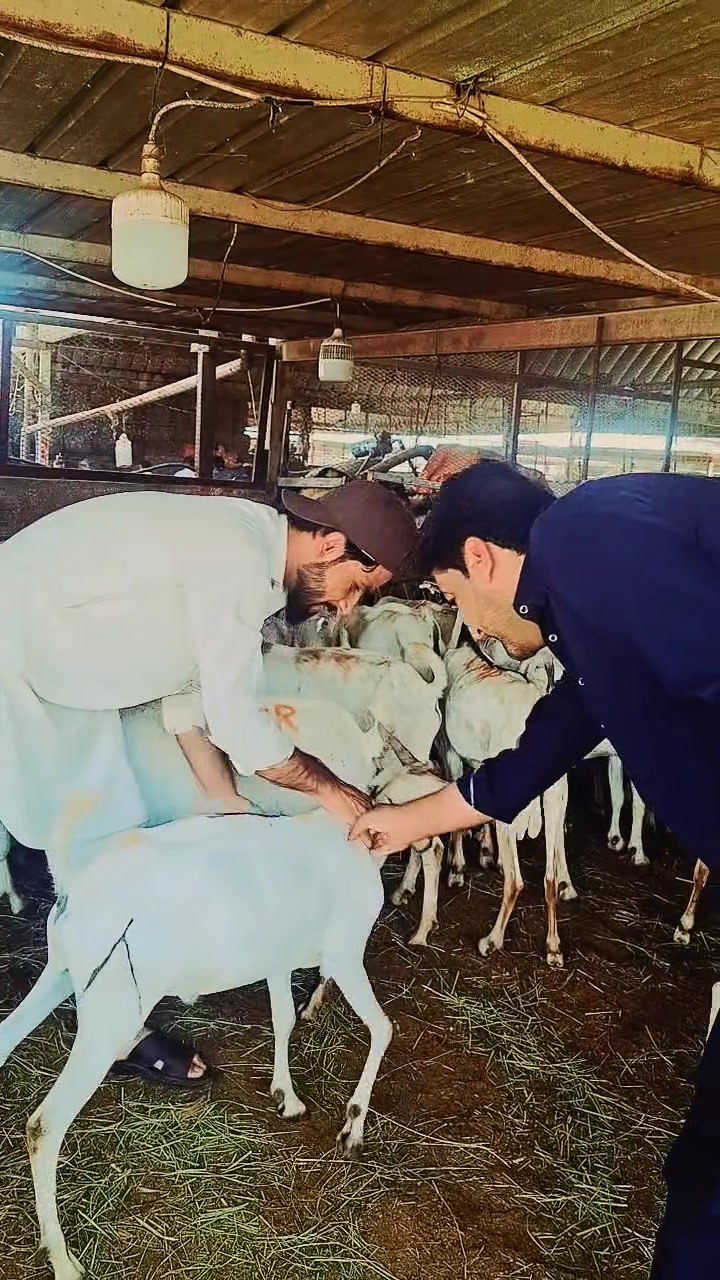 @🔥 ✘◉━━ آخر کب تک ━━◉✘ 🔥