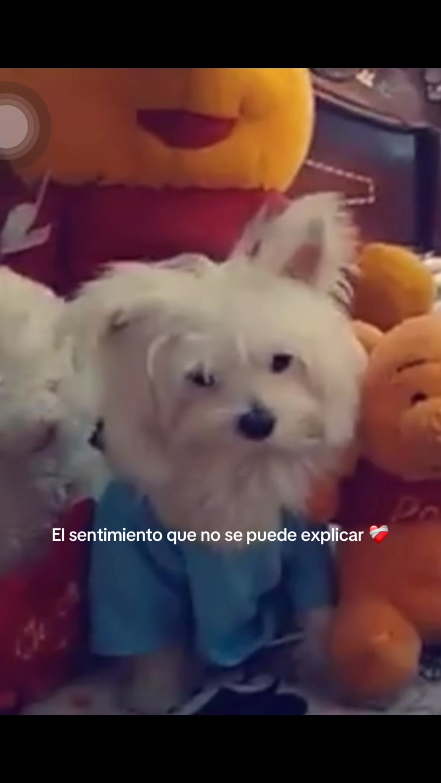 @Stephania