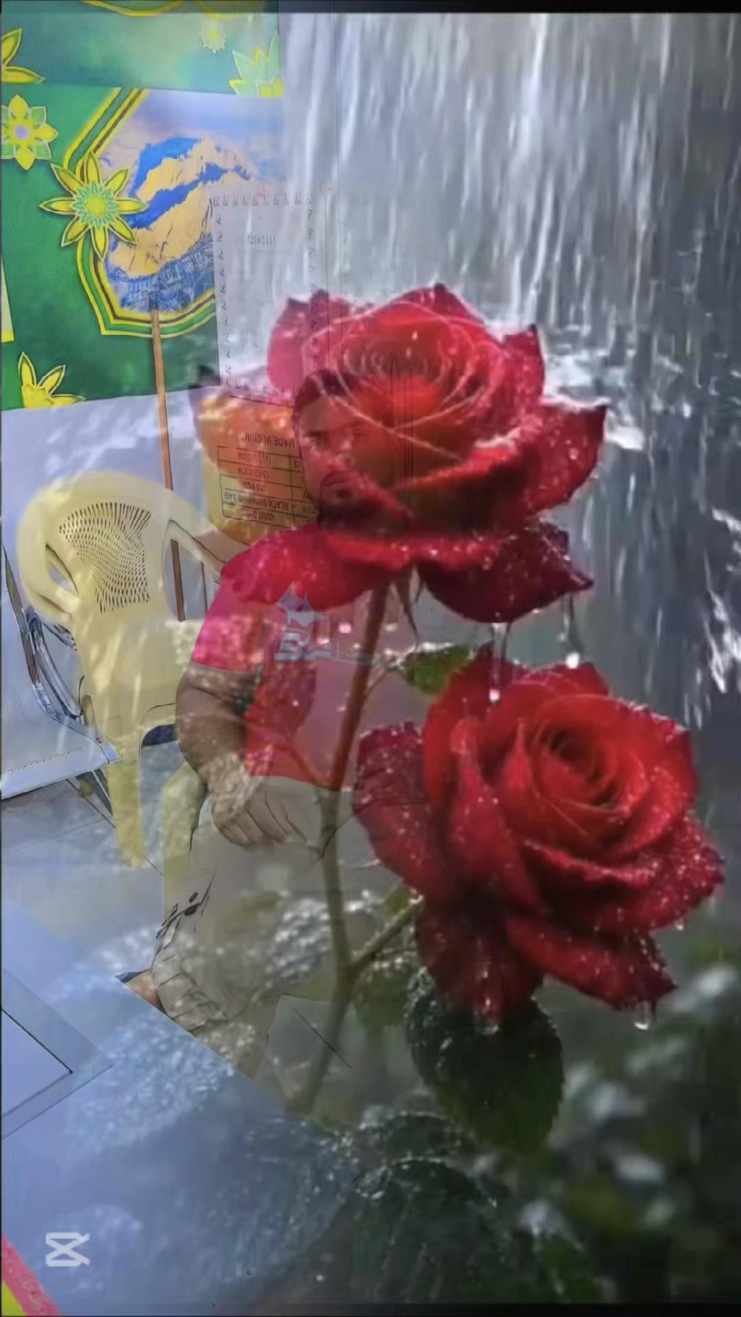 @MD HANIF محمد حنيف✅