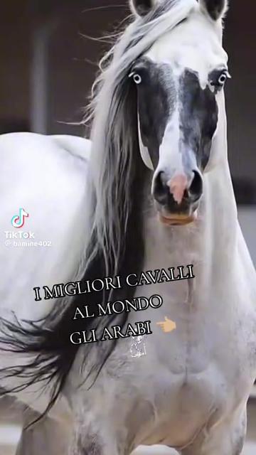@ᠻꪹꪖ᭢ᨶꫀకᨶꪮ ꪶ’ỉ᭢ᦋꫀకᡶỉꪉỉꪶꫀ