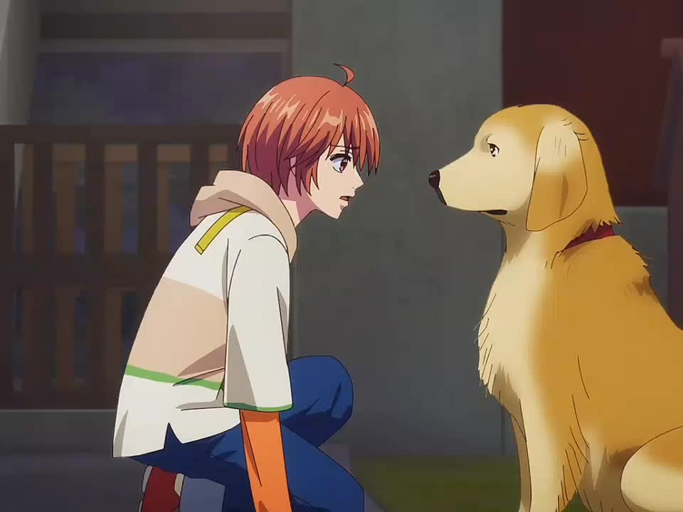 @Animeromanceydongua2.0