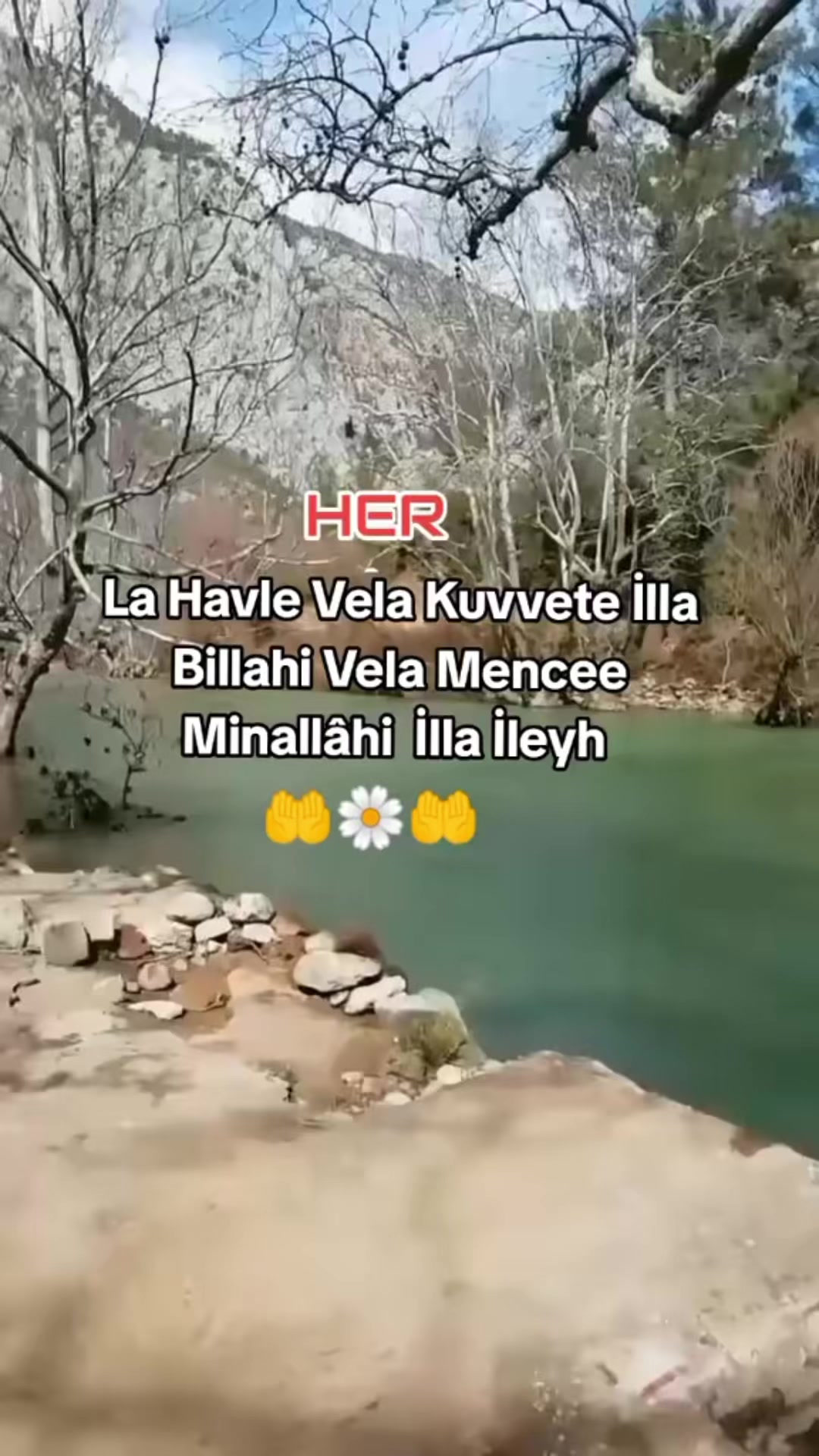 @papatyamm