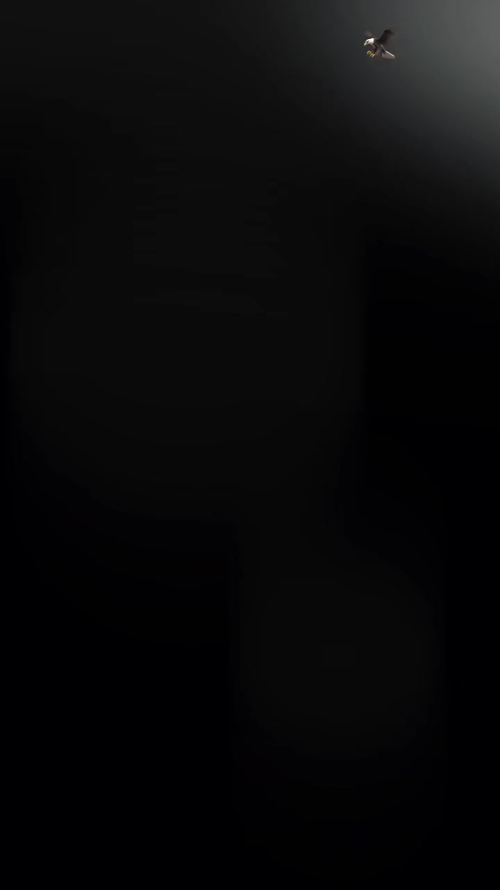 @꧁𓊈𒆜مخلص جوئیہ𒆜𓊉꧂804🥷
