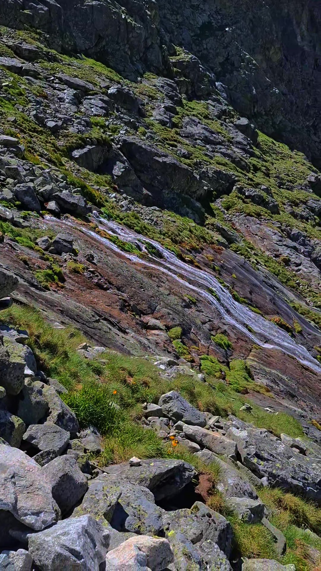 @SebekK🦜🐍...🧗🏔🩵⛰️.🚵♂️🔥