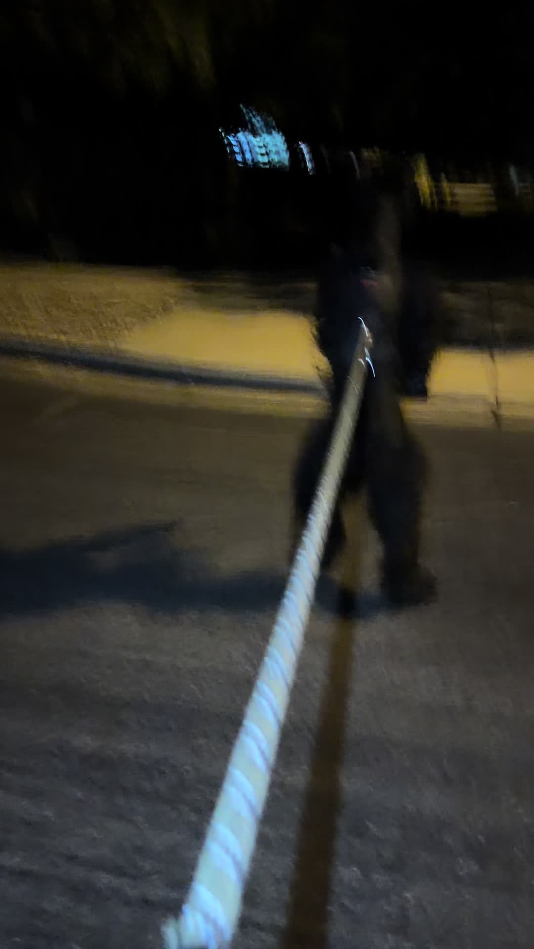 @Fiona Walks