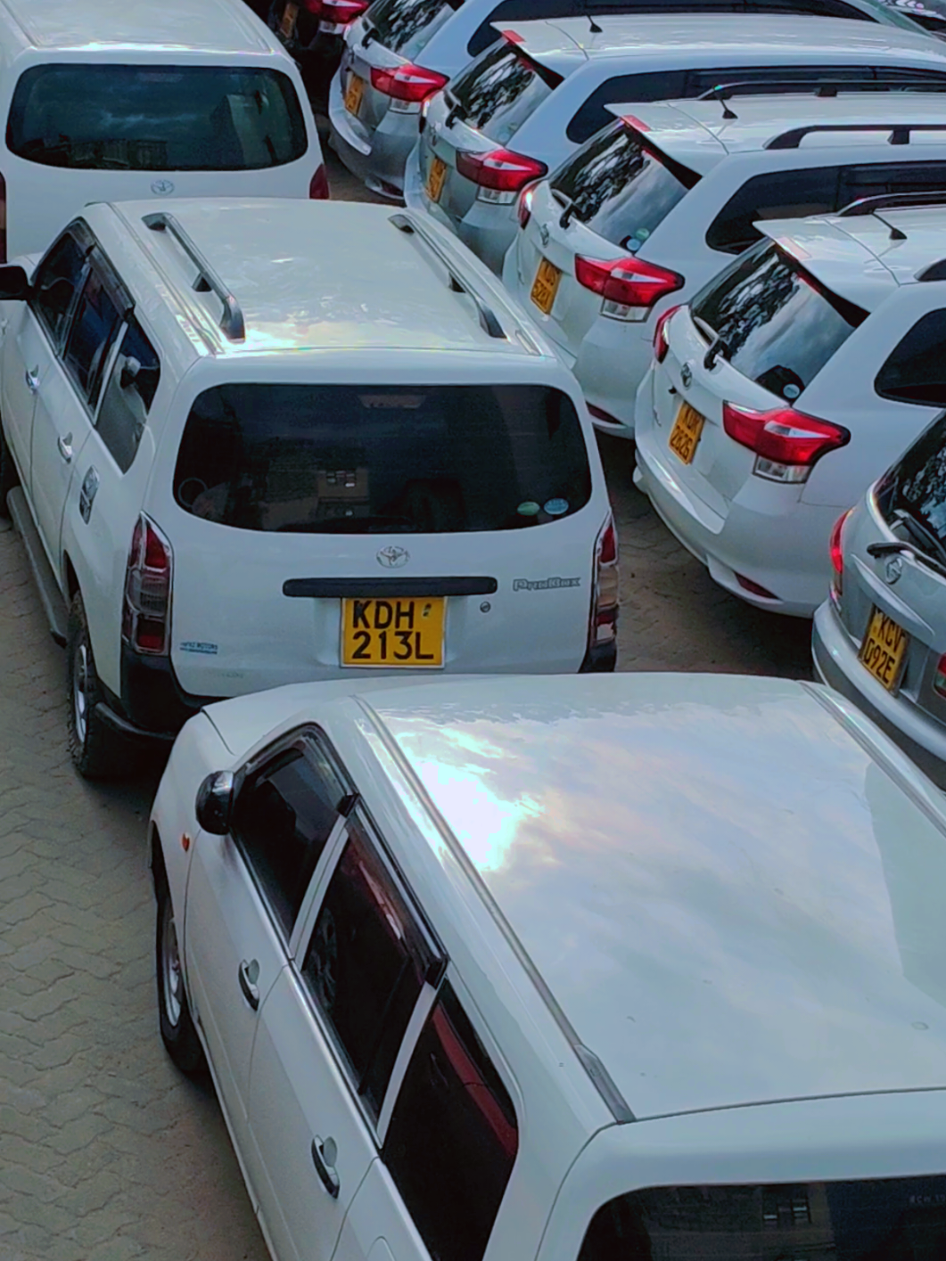 @Robimax Auto Trading