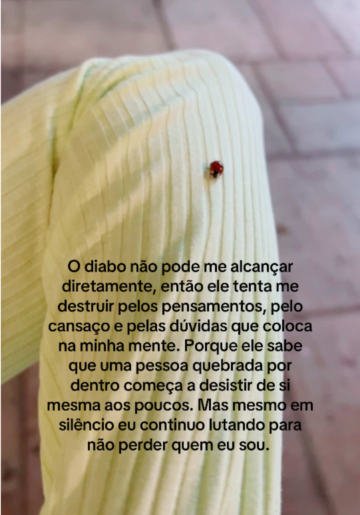 @Raphaela Lucas