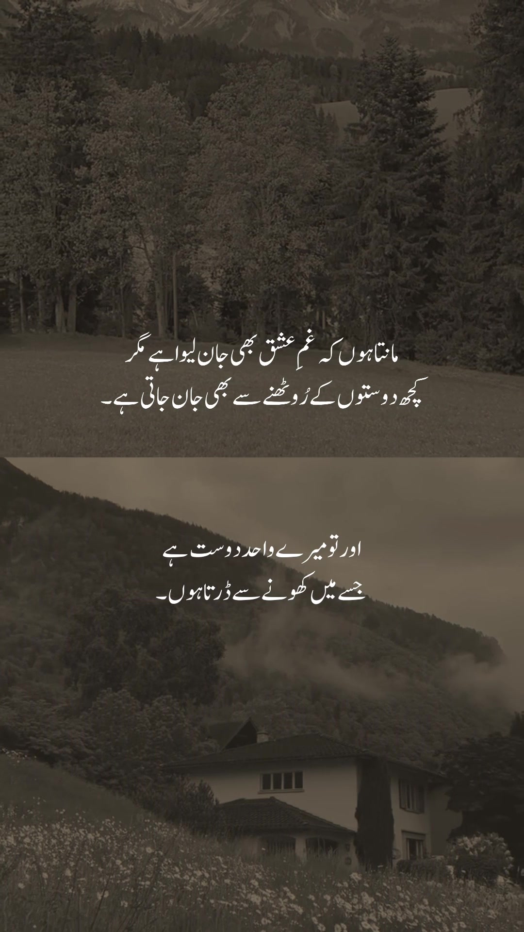@𓆩شیراز𓆪