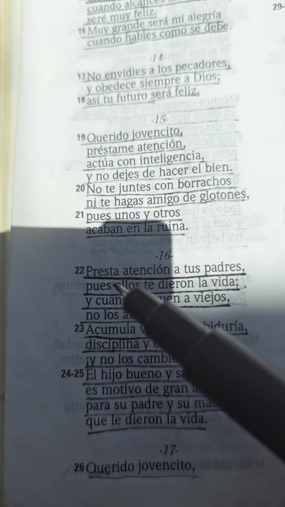@Palabra de Dios