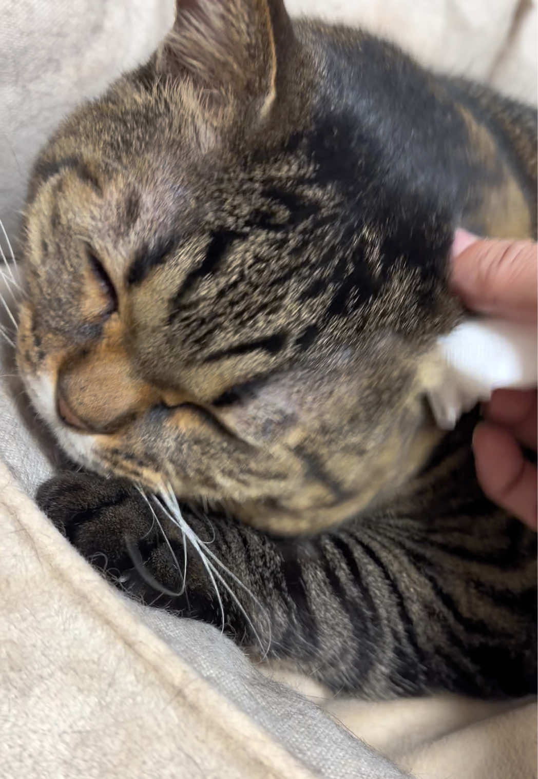 @翠