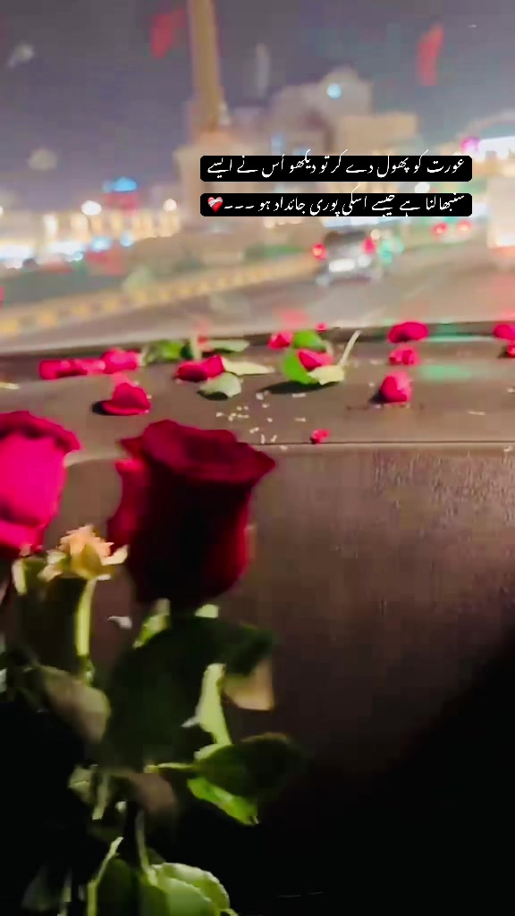 @ZH🎀🖇️