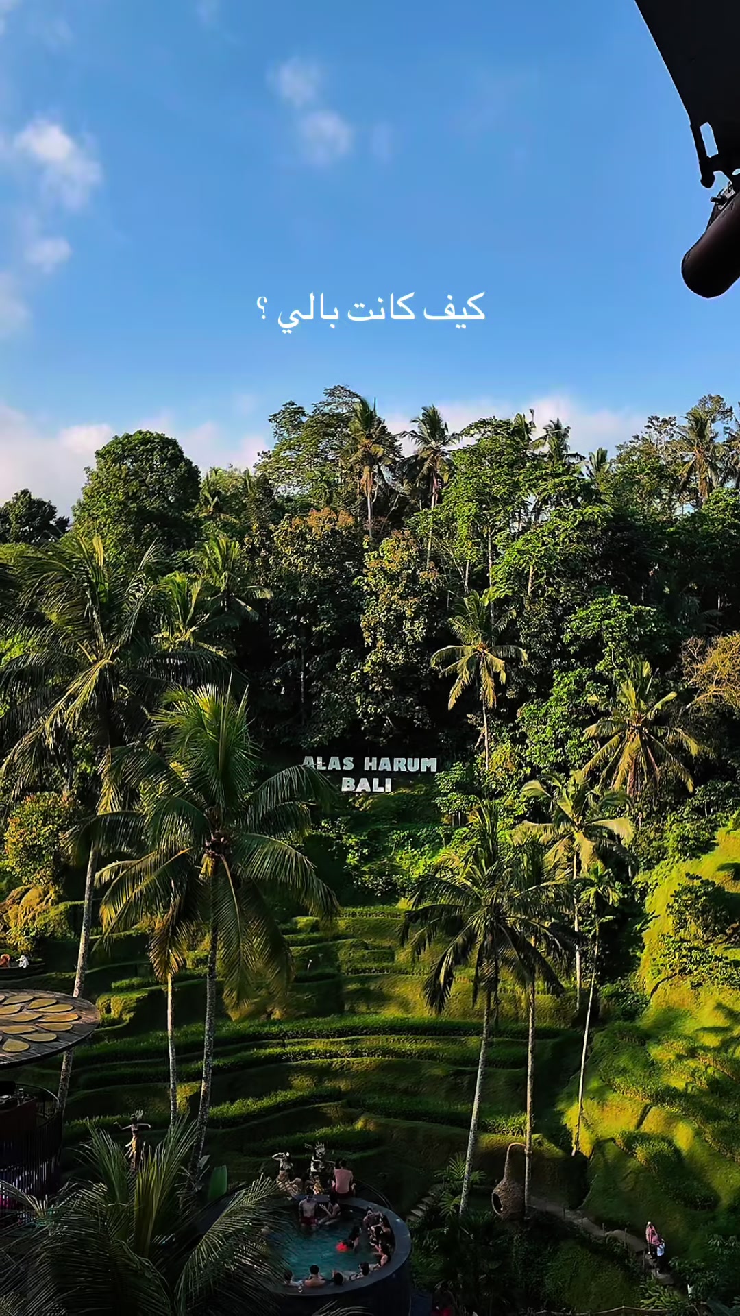 @مايا
