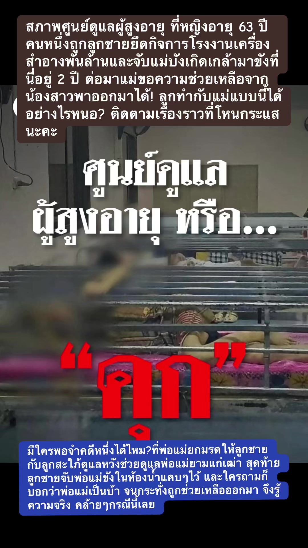 @ทาสแมว_News