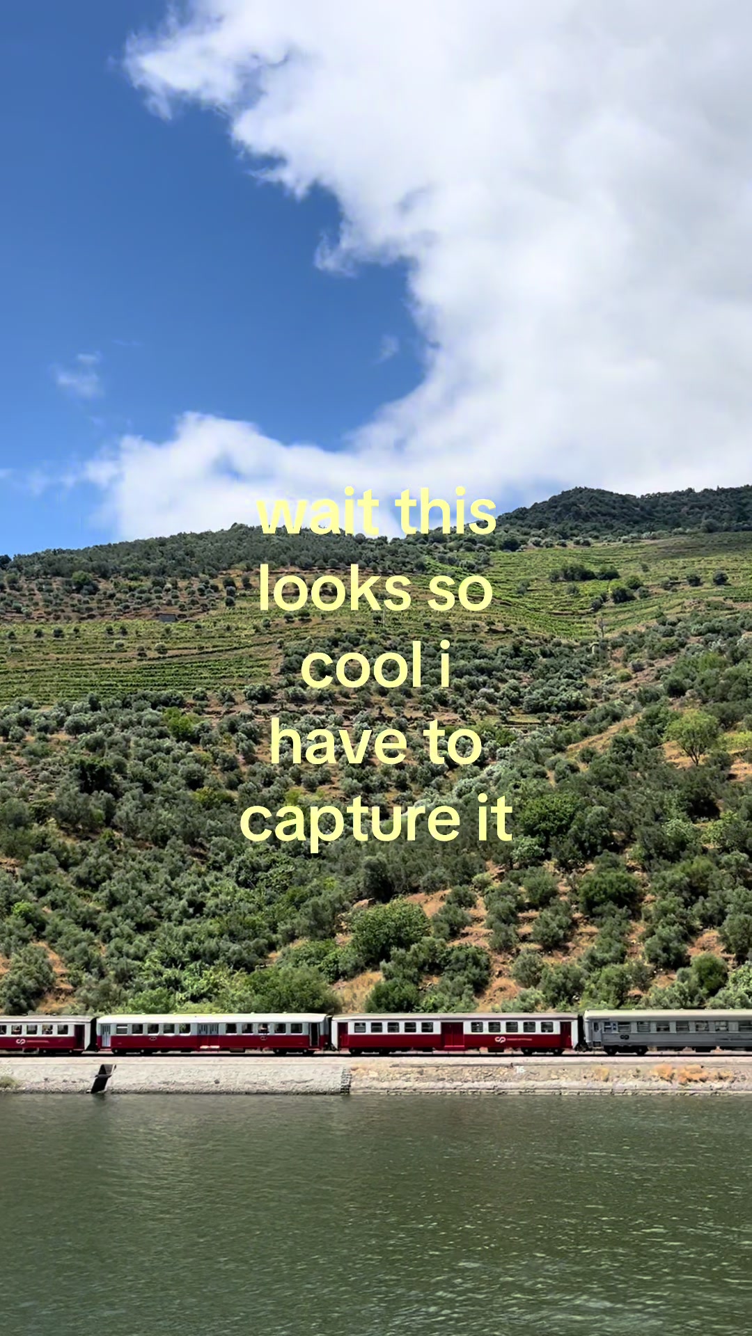 @MK
