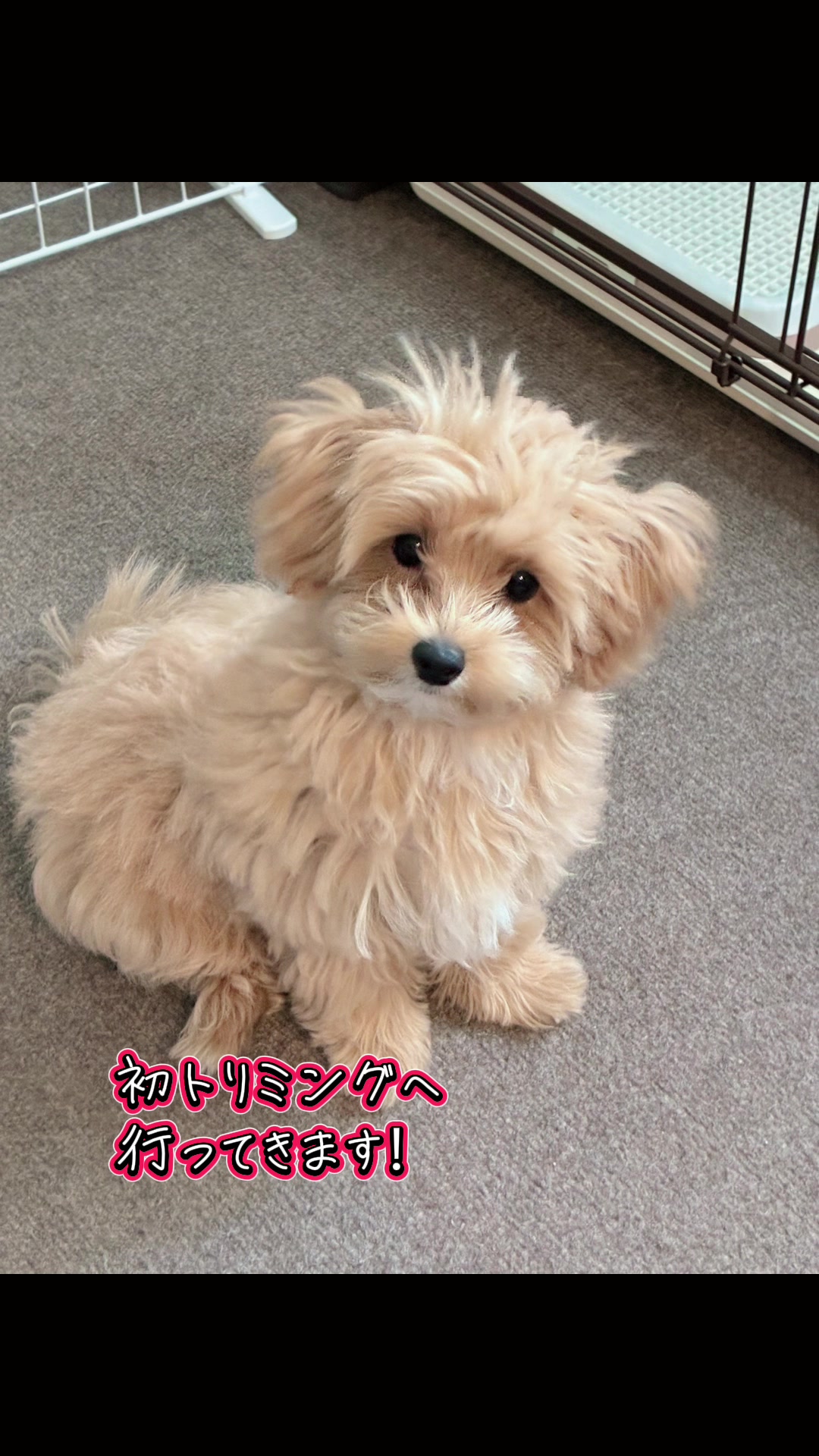 @ぱん