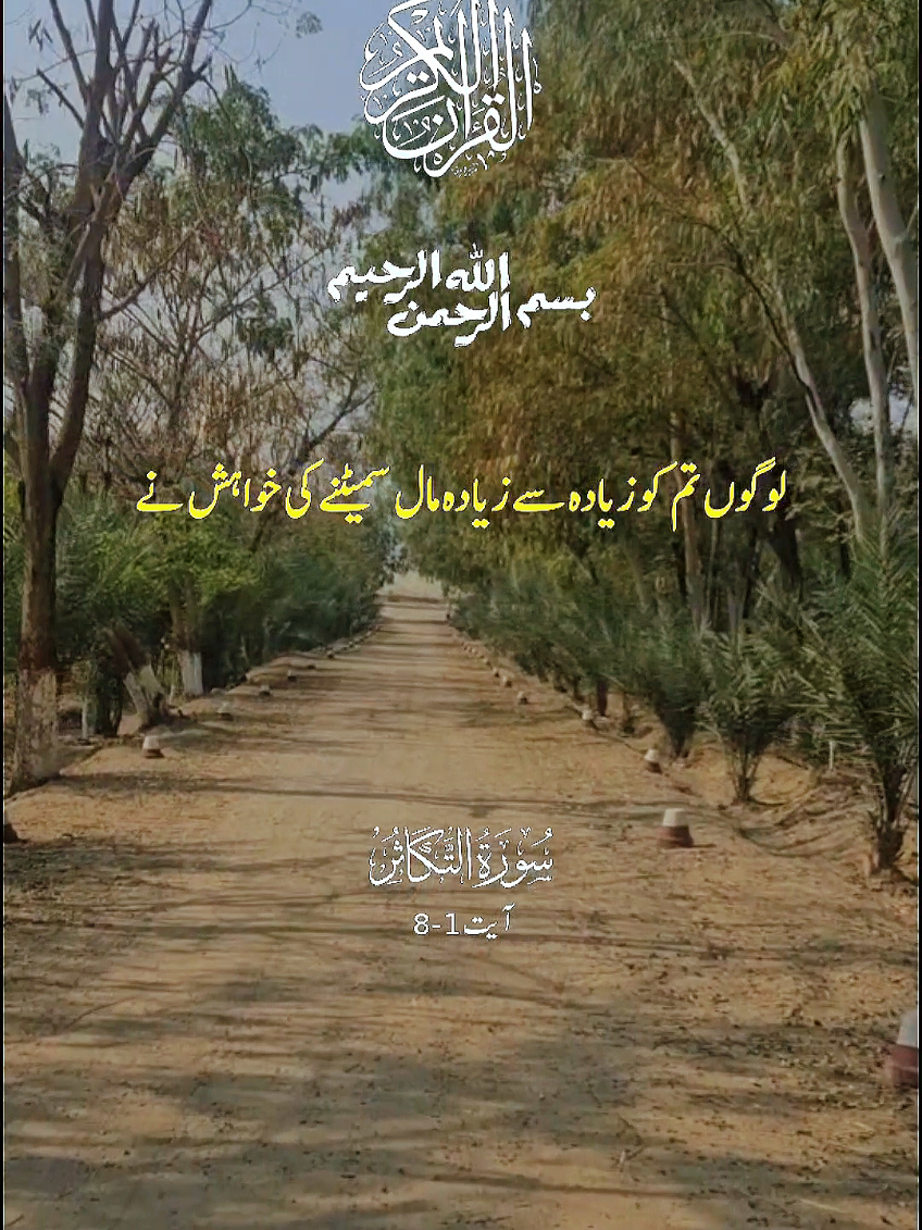 @Hamza Mini World