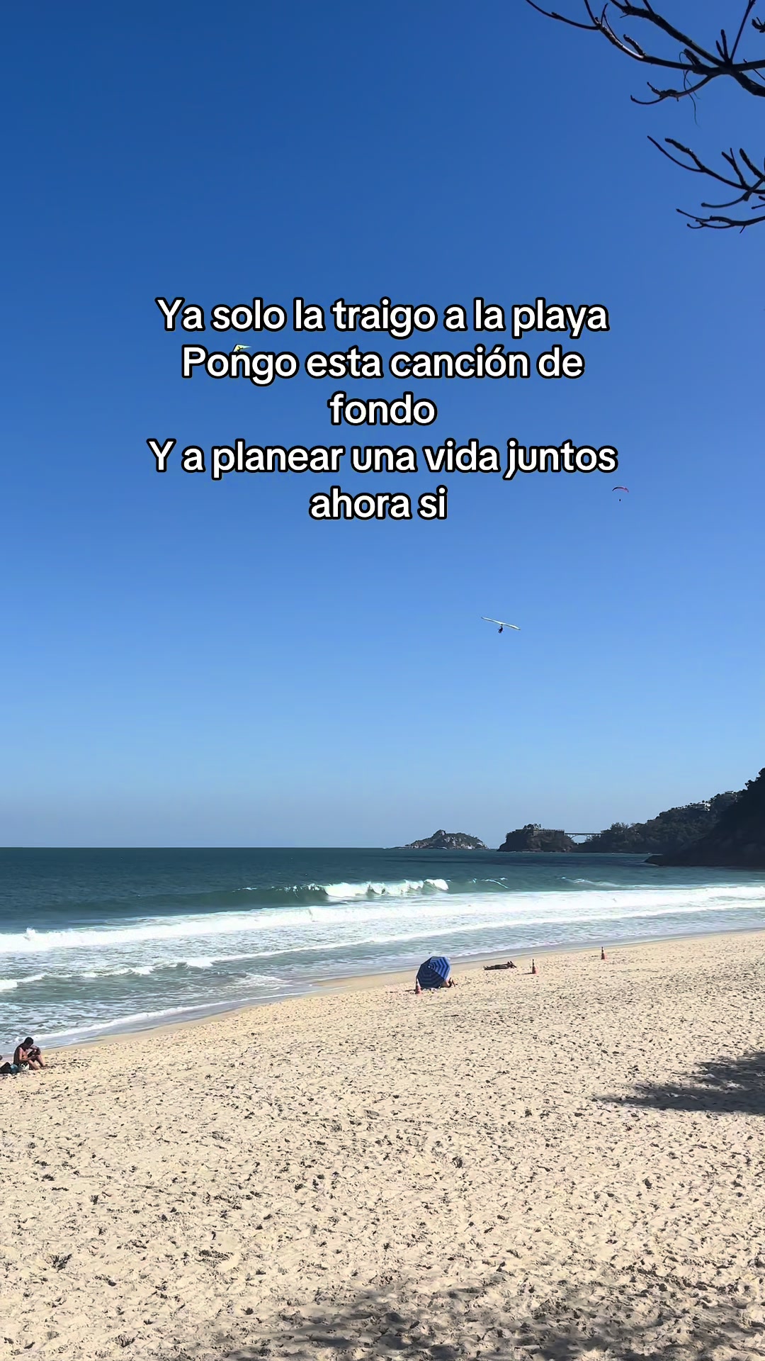 @Alfredo Daned