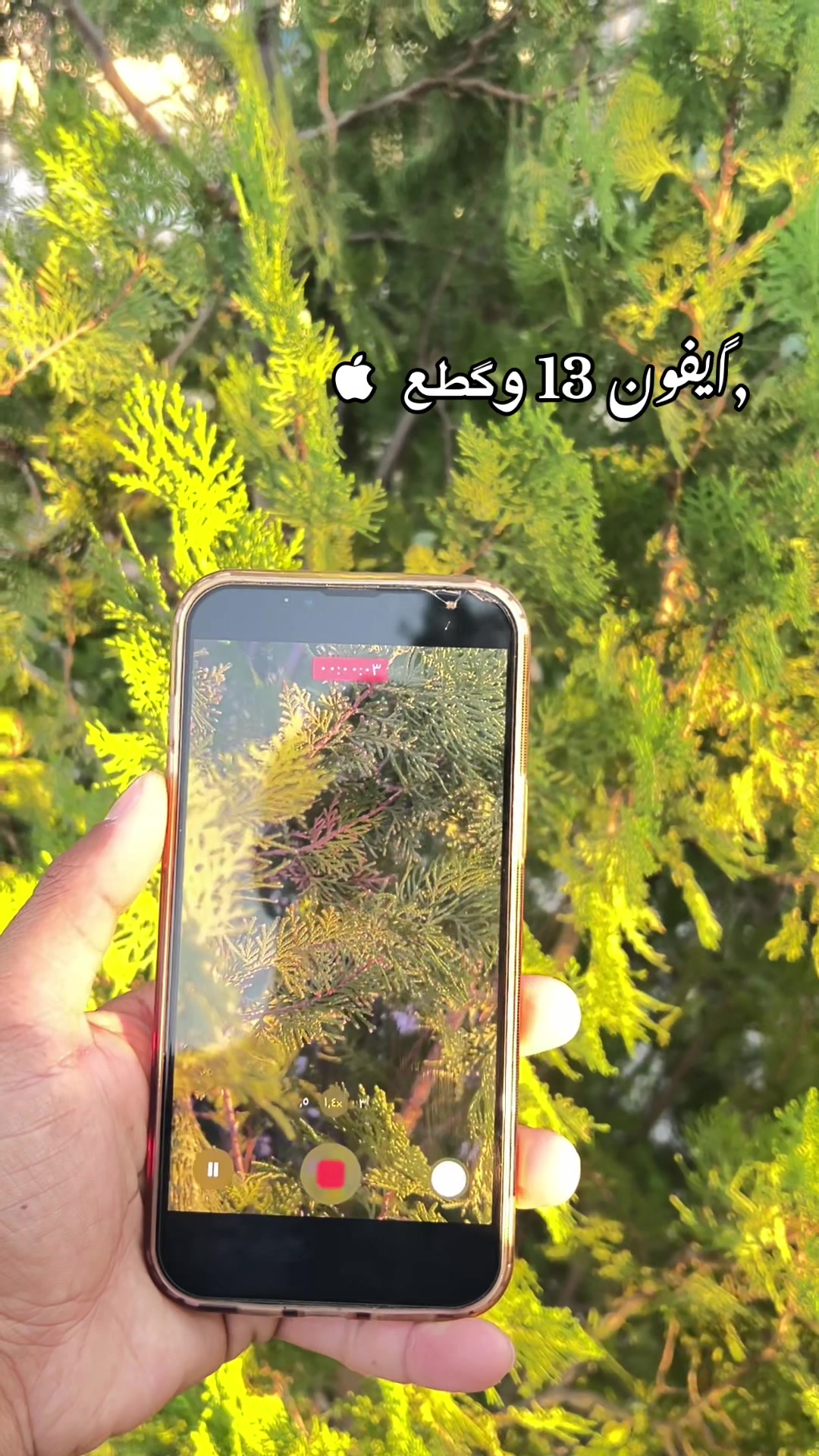 @『 ربــوحي 📸