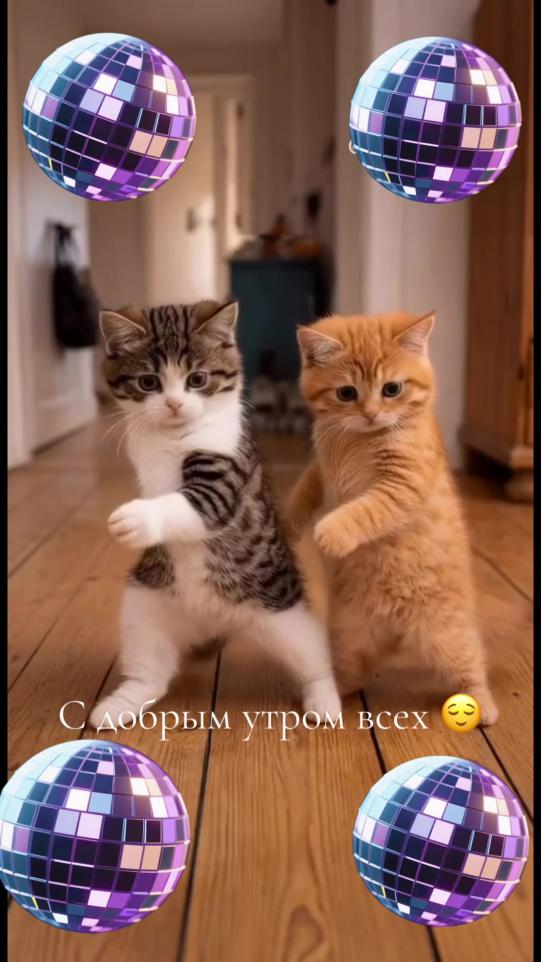 @катя1489