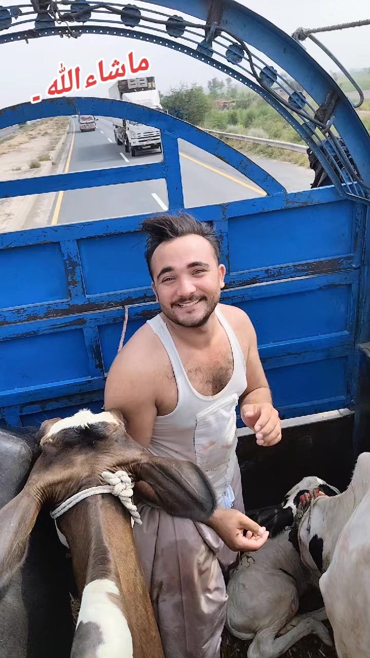 @💖🐄یوسف خان گوندل الہ 💖🐄