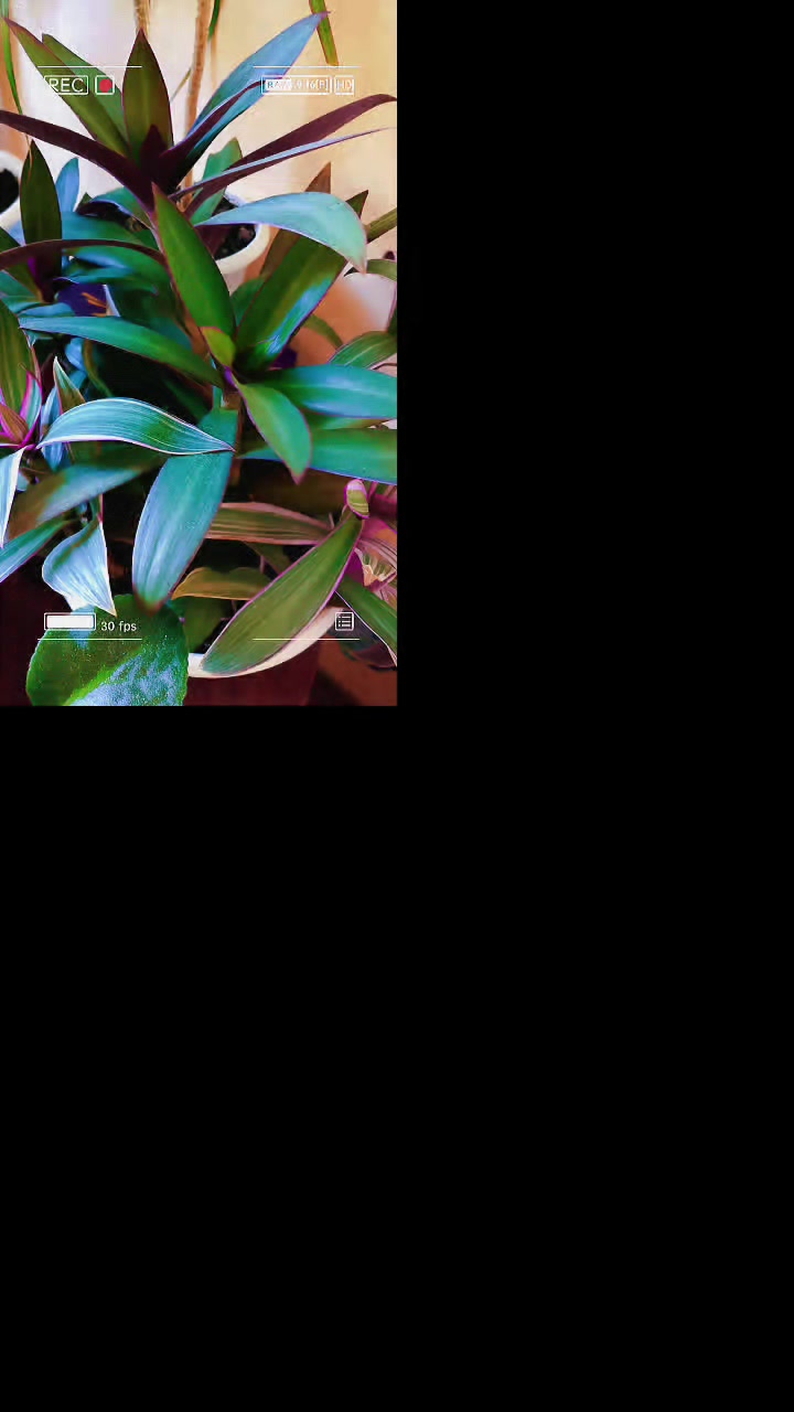 @Ksenia:💙🖤