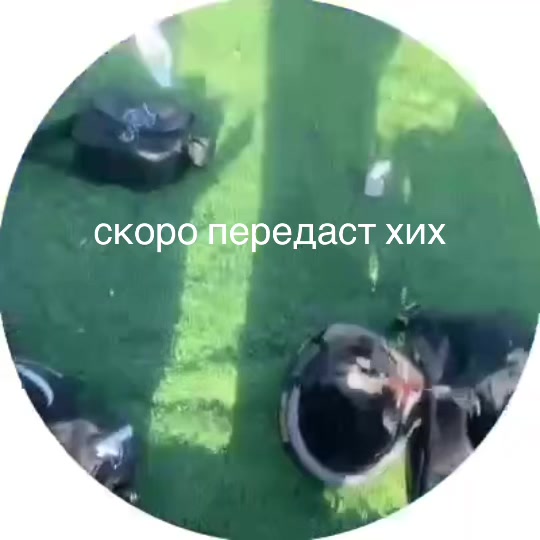 @Медведь | RUMO
