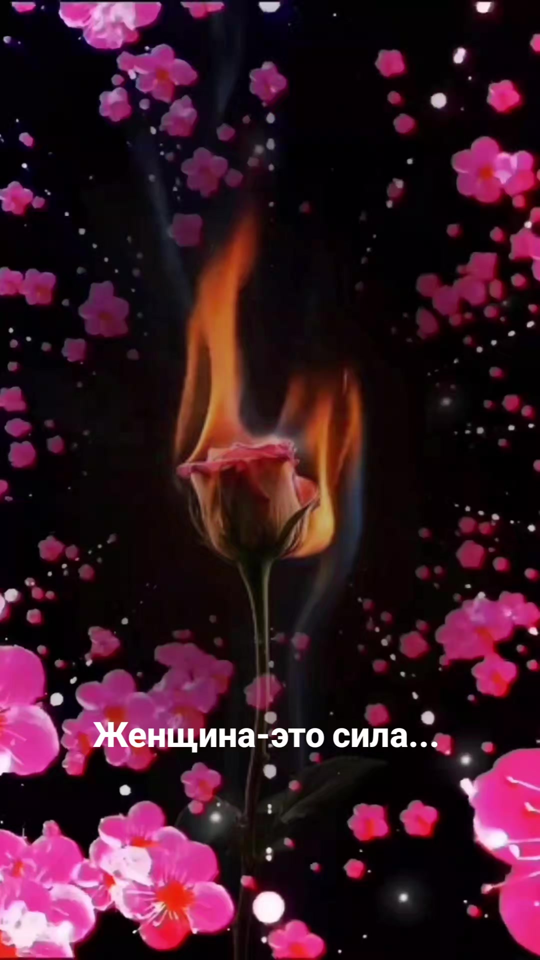 @Мила Телец.
