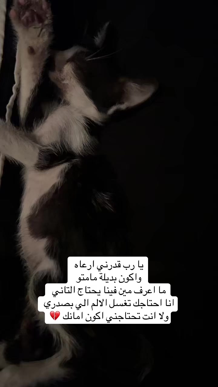 @لولو الحسني🇸🇦🫀
